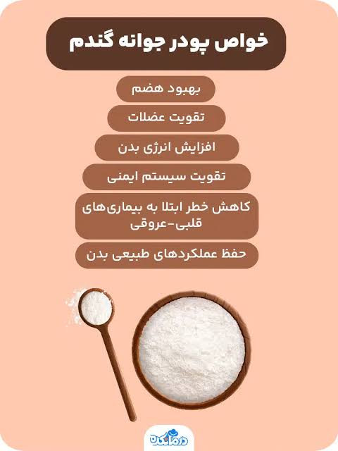 پودر جوانه گندم وین استار اورجینال