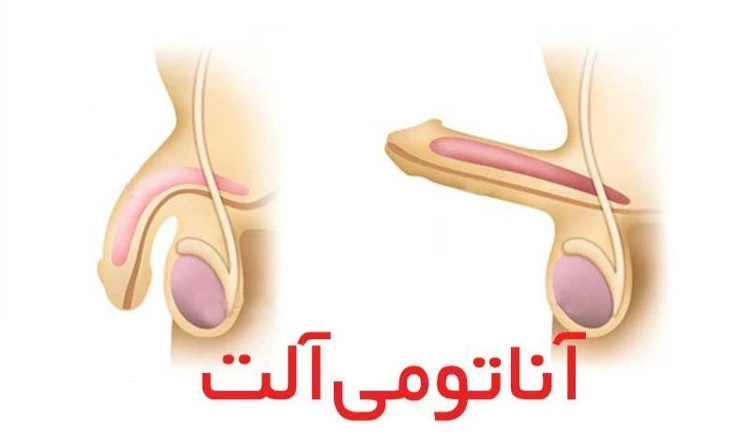 تجربهای متفاوت از انرژی و سلامت جنسی